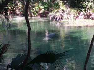 IMG_20121103_121741