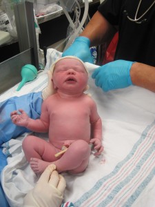 Evelyn's Birth