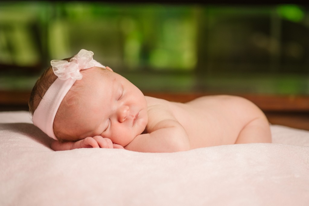 Evelyn's Newborn Session